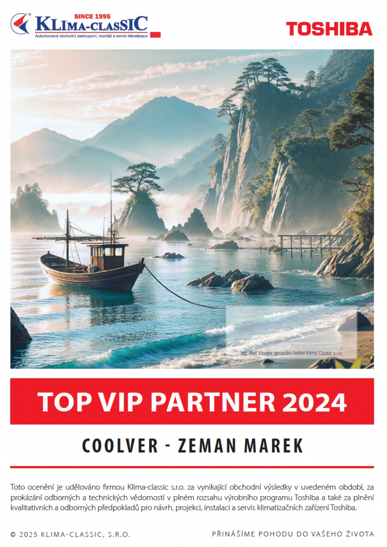 TOP VIP Partner